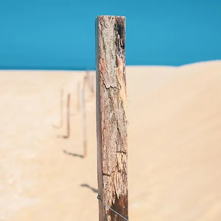 Wolfcamp Surf *