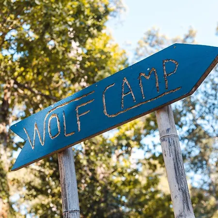 Wolfcamp Surf *