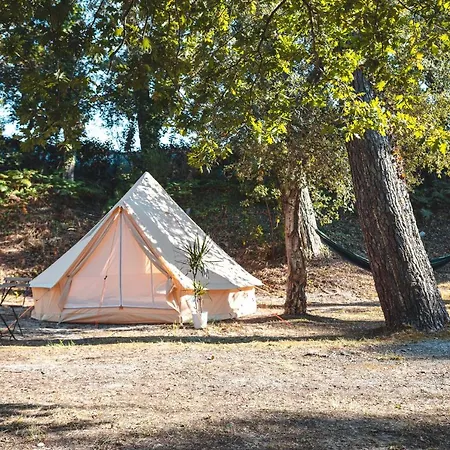 Campingplatz Wolfcamp Surf