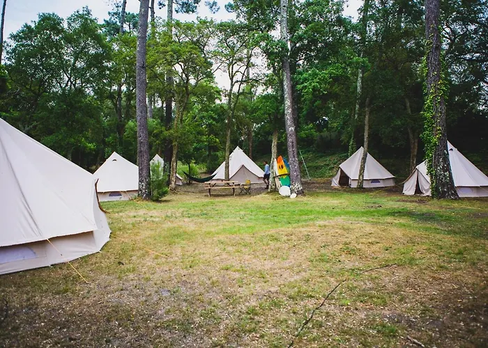 Wolfcamp Surf Moliets-et-Maa