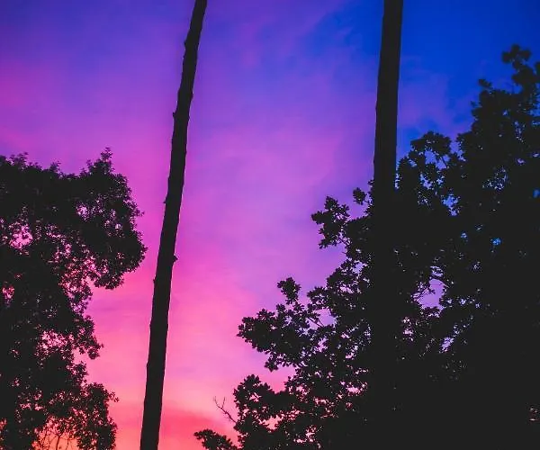 Wolfcamp Surf Moliets-et-Maa