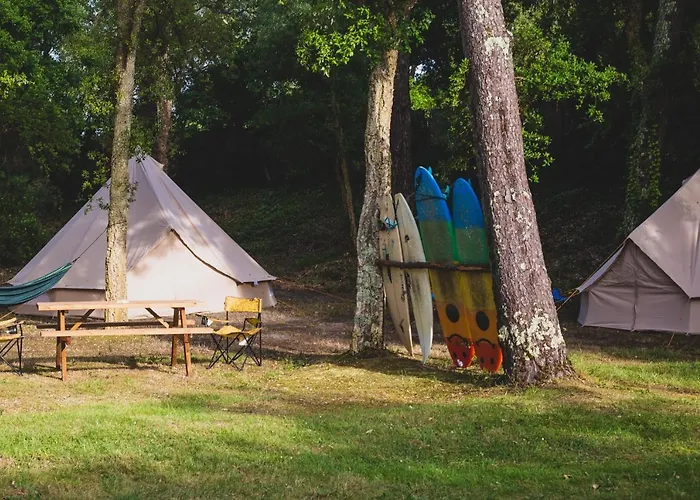 Wolfcamp Surf * Moliets-et-Maa