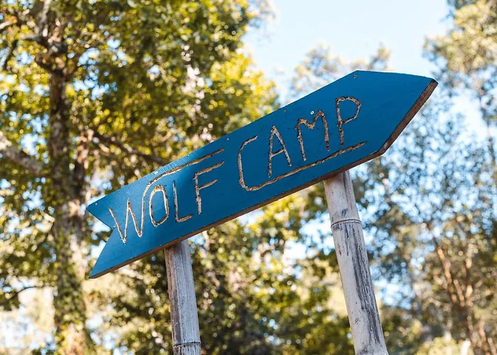 Wolfcamp Surf *