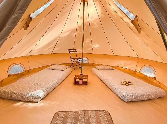 Wolfcamp Surf Moliets-et-Maa